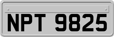 NPT9825