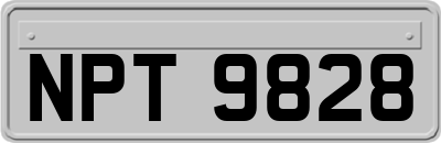 NPT9828