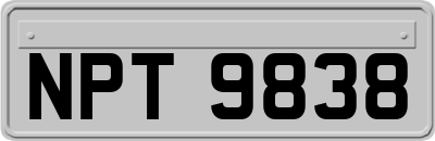 NPT9838