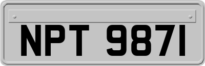 NPT9871
