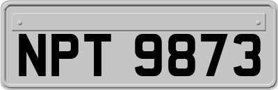 NPT9873