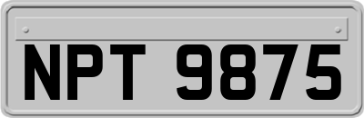 NPT9875