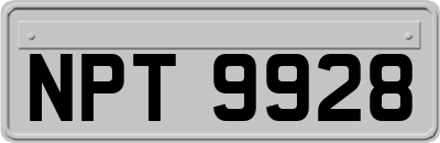 NPT9928