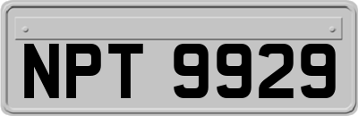 NPT9929