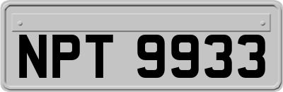 NPT9933