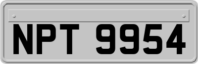 NPT9954