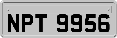 NPT9956