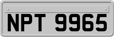 NPT9965