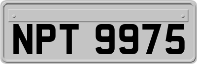 NPT9975