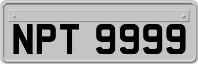 NPT9999