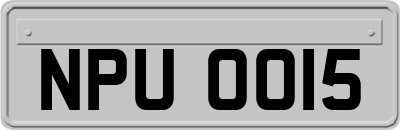 NPU0015