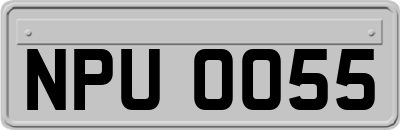 NPU0055