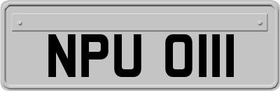 NPU0111