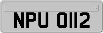 NPU0112