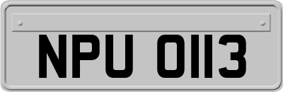 NPU0113