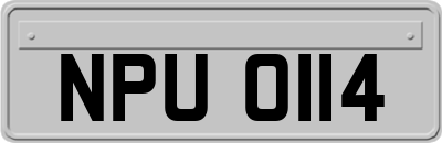 NPU0114