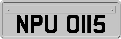 NPU0115