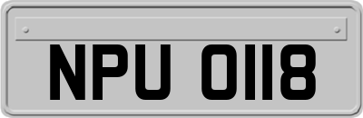 NPU0118