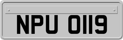 NPU0119