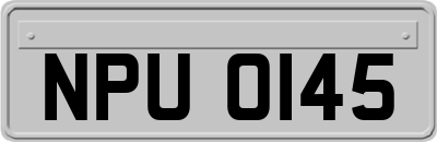NPU0145