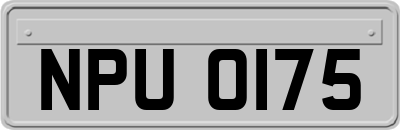 NPU0175