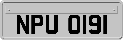 NPU0191
