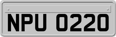 NPU0220