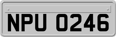 NPU0246