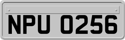 NPU0256
