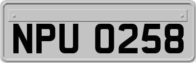 NPU0258