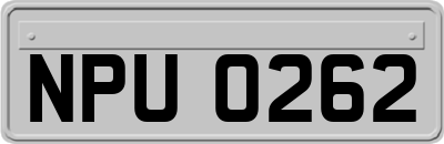 NPU0262