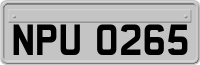 NPU0265