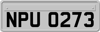 NPU0273