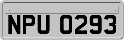 NPU0293