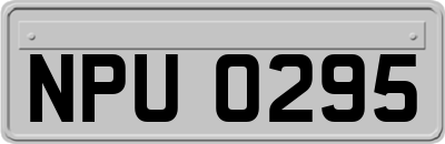 NPU0295