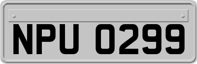 NPU0299