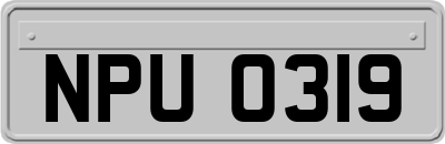 NPU0319