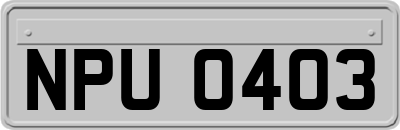 NPU0403