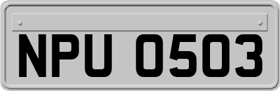 NPU0503