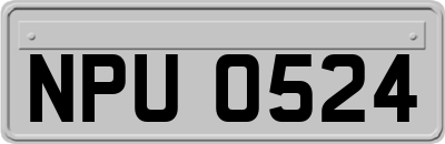NPU0524