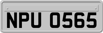 NPU0565
