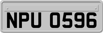 NPU0596