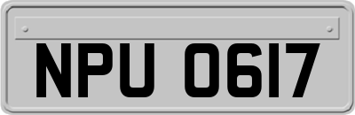 NPU0617