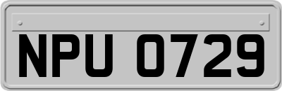 NPU0729