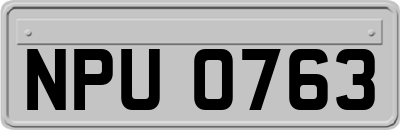 NPU0763