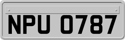 NPU0787