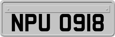 NPU0918