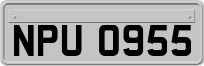 NPU0955