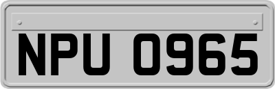 NPU0965