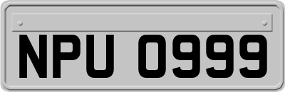 NPU0999